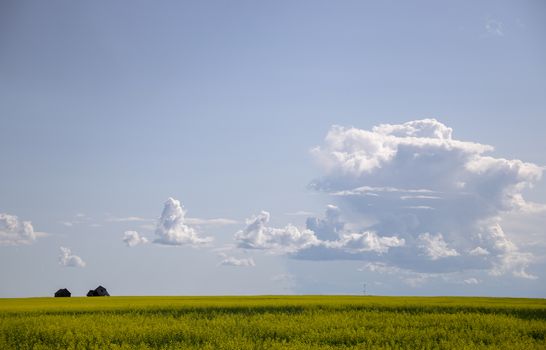 Prairie Storm Clouds Canada Saskatchewan Dramatic Summer