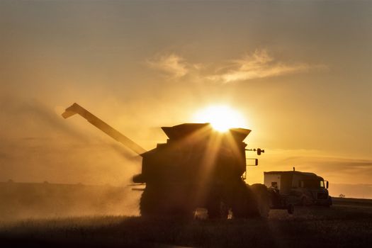 Harvest Sunset Canada Sasktchewan yellow sillouette combine