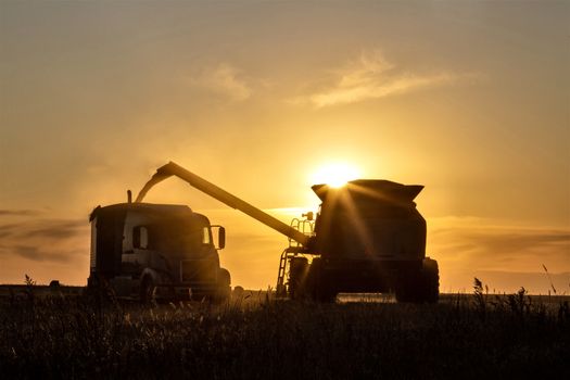 Harvest Sunset Canada Sasktchewan yellow sillouette combine