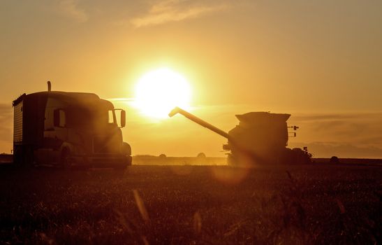 Harvest Sunset Canada Sasktchewan yellow sillouette combine