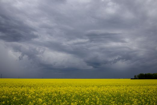 Prairie Storm Clouds Canada Saskatchewan Dramatic Summer
