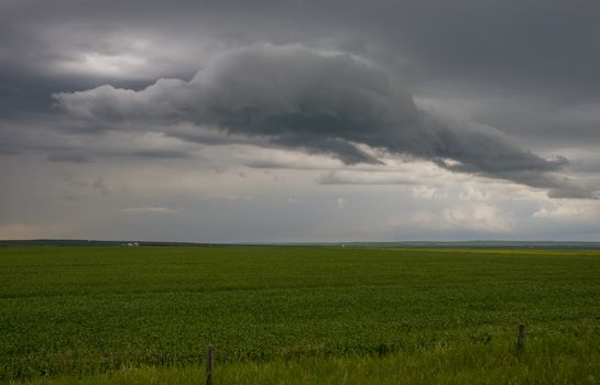 Prairie Storm Clouds Canada Saskatchewan Dramatic Summer