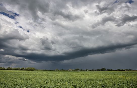 Prairie Storm Clouds Canada Saskatchewan Dramatic Summer