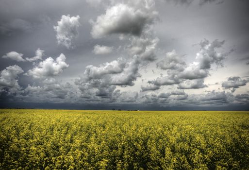 Prairie Storm Clouds Canada Saskatchewan Dramatic Summer