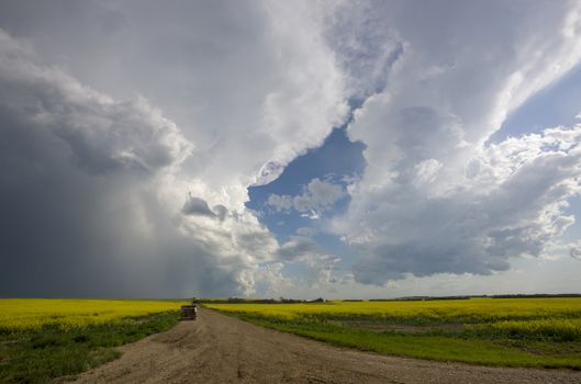 Prairie Storm Clouds Canada Saskatchewan Dramatic Summer