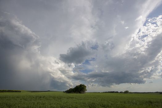 Prairie Storm Clouds Canada Saskatchewan Dramatic Summer