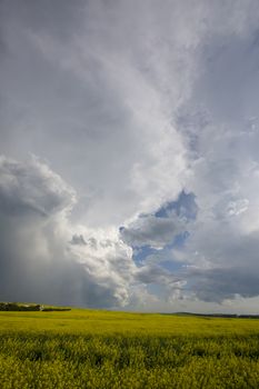 Prairie Storm Clouds Canada Saskatchewan Dramatic Summer