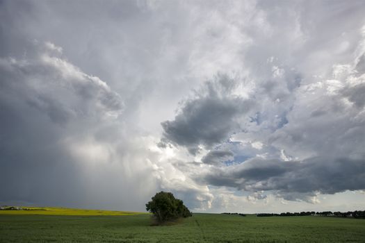 Prairie Storm Clouds Canada Saskatchewan Dramatic Summer