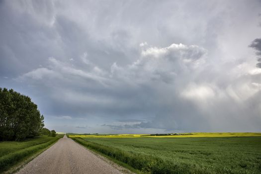 Prairie Storm Clouds Canada Saskatchewan Dramatic Summer