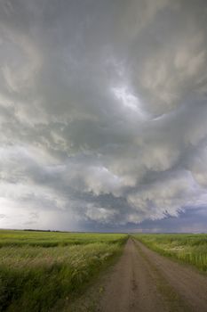 Prairie Storm Clouds Canada Saskatchewan Dramatic Summer