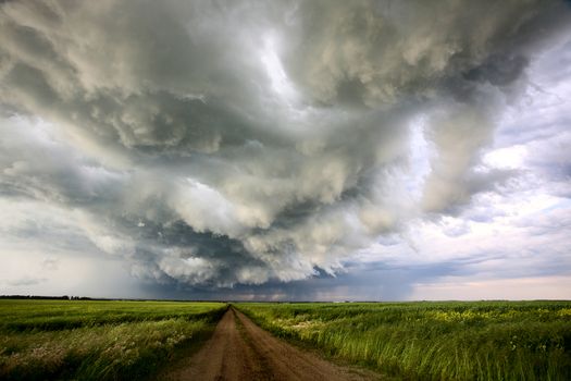 Prairie Storm Clouds Canada Saskatchewan Dramatic Summer