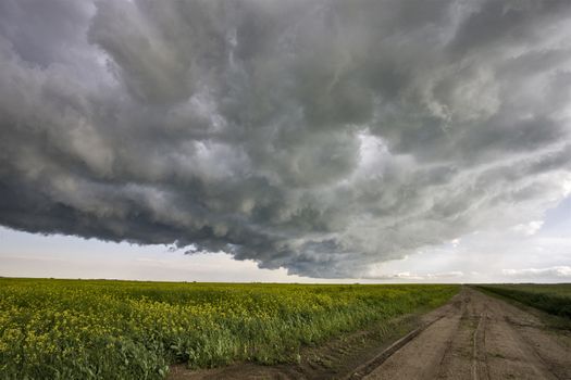 Prairie Storm Clouds Canada Saskatchewan Dramatic Summer