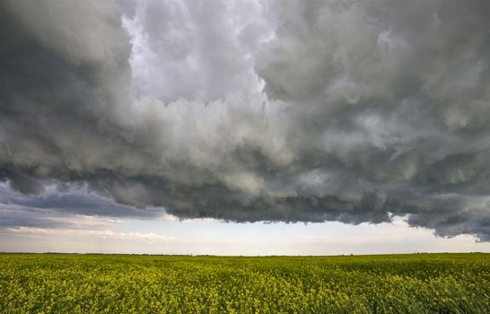 Prairie Storm Clouds Canada Saskatchewan Dramatic Summer