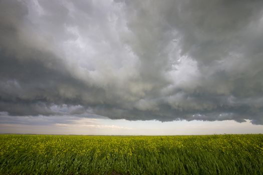 Prairie Storm Clouds Canada Saskatchewan Dramatic Summer