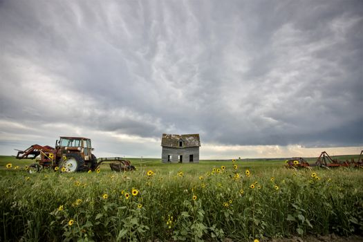 Prairie Storm Clouds Canada Saskatchewan Dramatic Summer