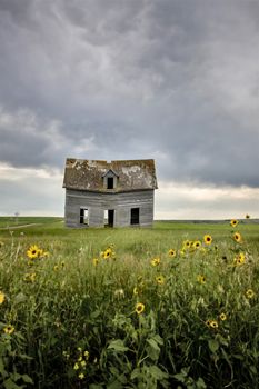 Prairie Storm Clouds Canada Saskatchewan Dramatic Summer