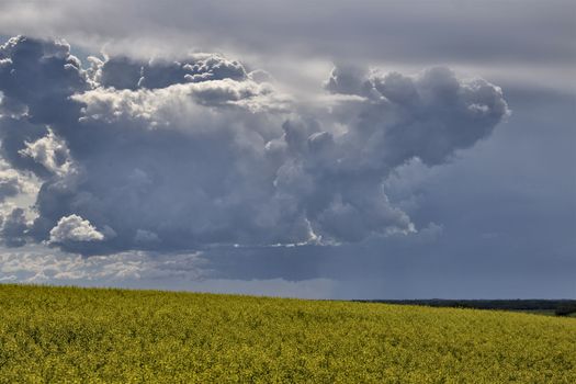 Prairie Storm Clouds Canada Saskatchewan Dramatic Summer