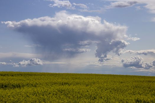Prairie Storm Clouds Canada Saskatchewan Dramatic Summer