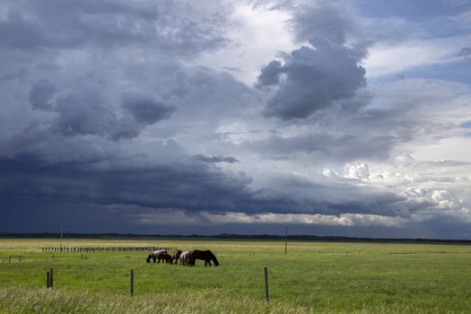 Prairie Storm Clouds Canada Saskatchewan Dramatic Summer