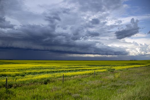 Prairie Storm Clouds Canada Saskatchewan Dramatic Summer