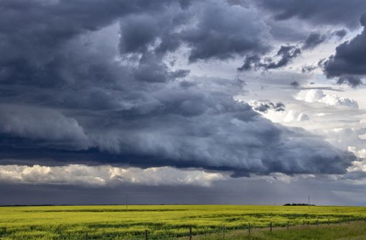 Prairie Storm Clouds Canada Saskatchewan Dramatic Summer