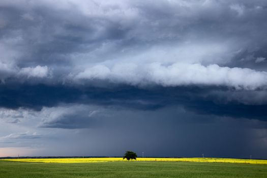 Prairie Storm Clouds Canada Saskatchewan Dramatic Summer