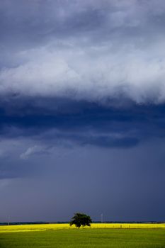 Prairie Storm Clouds Canada Saskatchewan Dramatic Summer