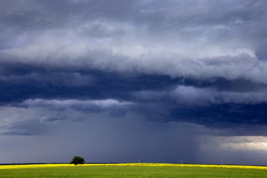 Prairie Storm Clouds Canada Saskatchewan Dramatic Summer
