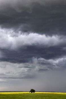 Prairie Storm Clouds Canada Saskatchewan Dramatic Summer