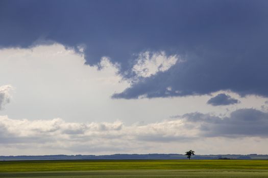 Prairie Storm Clouds Canada Saskatchewan Dramatic Summer