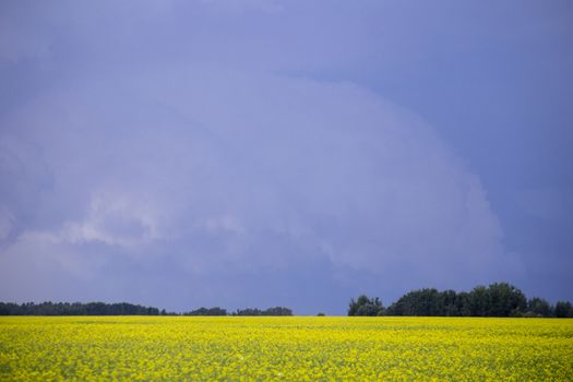 Prairie Storm Clouds Canada Saskatchewan Dramatic Summer