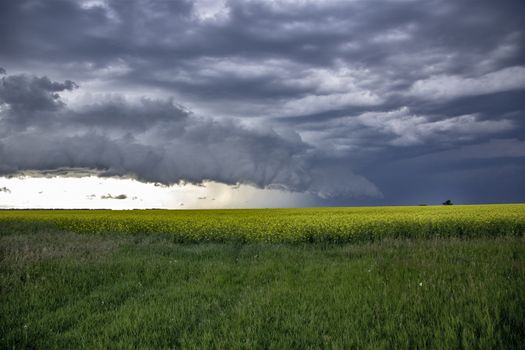 Prairie Storm Clouds Canada Saskatchewan Dramatic Summer