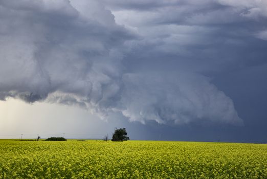 Prairie Storm Clouds Canada Saskatchewan Dramatic Summer