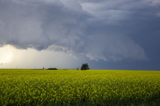 Prairie Storm Clouds Canada Saskatchewan Dramatic Summer