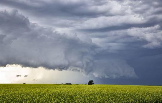 Prairie Storm Clouds Canada Saskatchewan Dramatic Summer