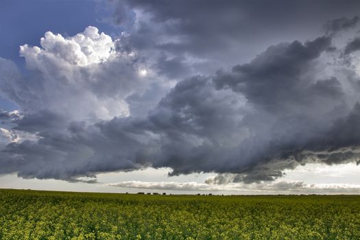 Prairie Storm Clouds Canada Saskatchewan Dramatic Summer