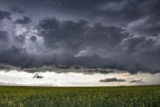 Prairie Storm Clouds Canada Saskatchewan Dramatic Summer