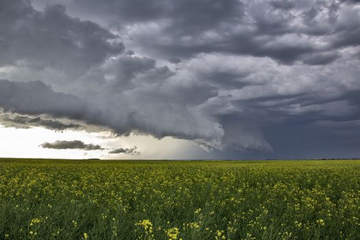 Prairie Storm Clouds Canada Saskatchewan Dramatic Summer