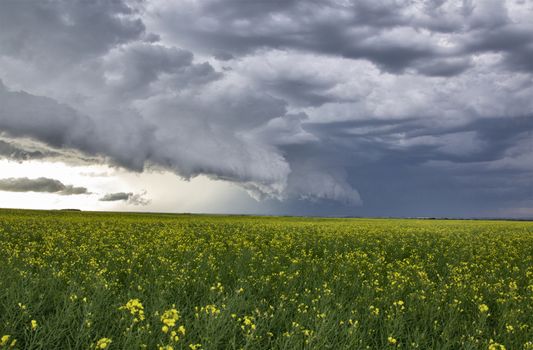 Prairie Storm Clouds Canada Saskatchewan Dramatic Summer