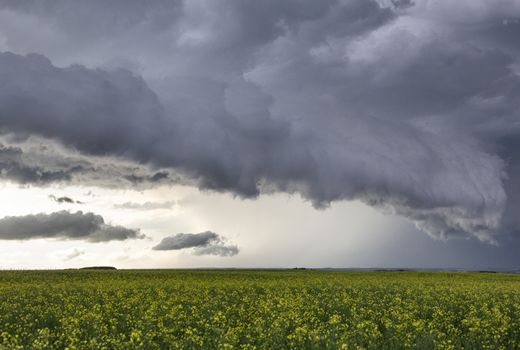 Prairie Storm Clouds Canada Saskatchewan Dramatic Summer
