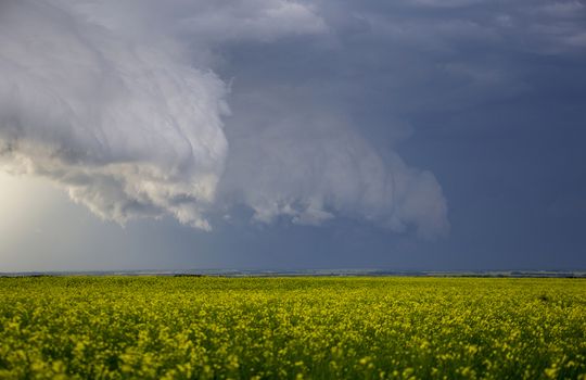 Prairie Storm Clouds Canada Saskatchewan Dramatic Summer