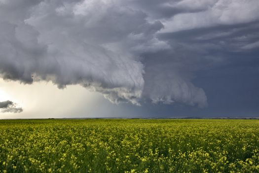 Prairie Storm Clouds Canada Saskatchewan Dramatic Summer