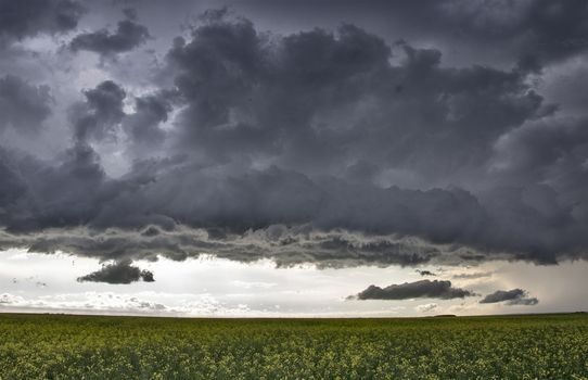 Prairie Storm Clouds Canada Saskatchewan Dramatic Summer