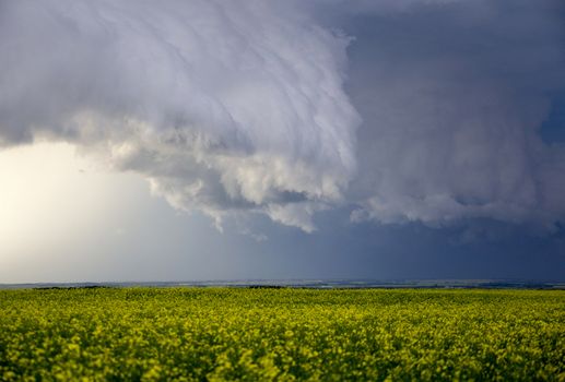 Prairie Storm Clouds Canada Saskatchewan Dramatic Summer