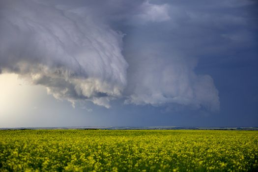 Prairie Storm Clouds Canada Saskatchewan Dramatic Summer