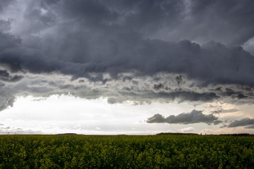 Prairie Storm Clouds Canada Saskatchewan Dramatic Summer