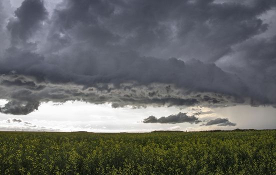 Prairie Storm Clouds Canada Saskatchewan Dramatic Summer