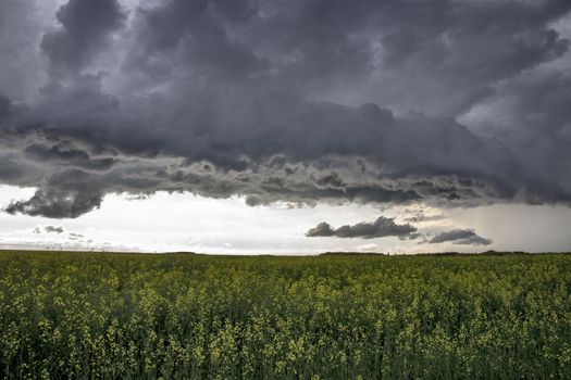 Prairie Storm Clouds Canada Saskatchewan Dramatic Summer
