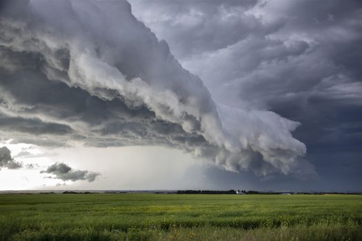 Prairie Storm Clouds Canada Saskatchewan Dramatic Summer
