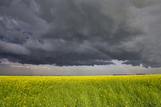 Prairie Storm Clouds Canada Saskatchewan Dramatic Summer
